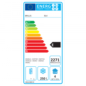 Морозильный шкаф BRILLS BL4-R290 - фото № 5