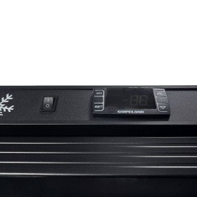 Энергоэффективный холодильный шкаф BRILLIS EG-HR600G.B - фото № 4